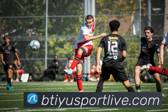 B体育平台生态图